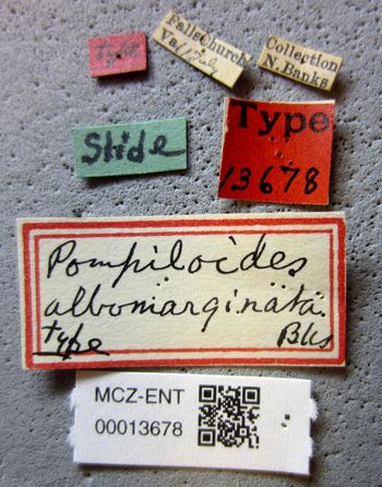 Media type: image;   Entomology 13678 Aspect: labels